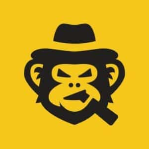 SkinsMonkey Review 2026: Is SkinsMonkey Legit? Fees, Features & Honest Verdict