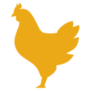 Image of chicken.gg